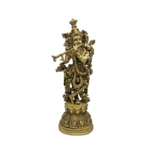  Krishna Idol