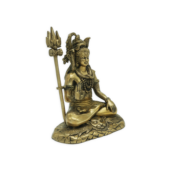 Shiva idol